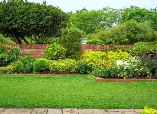 landscaping services Pemberton Heights